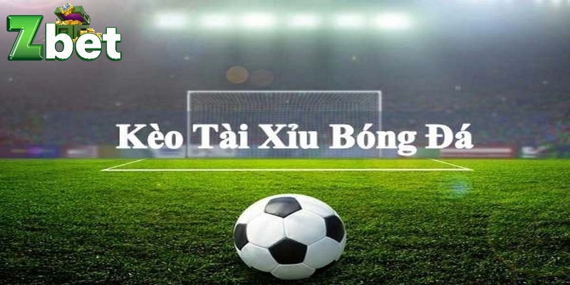 Tìm hiểu kỹ đặc điểm đội bóng