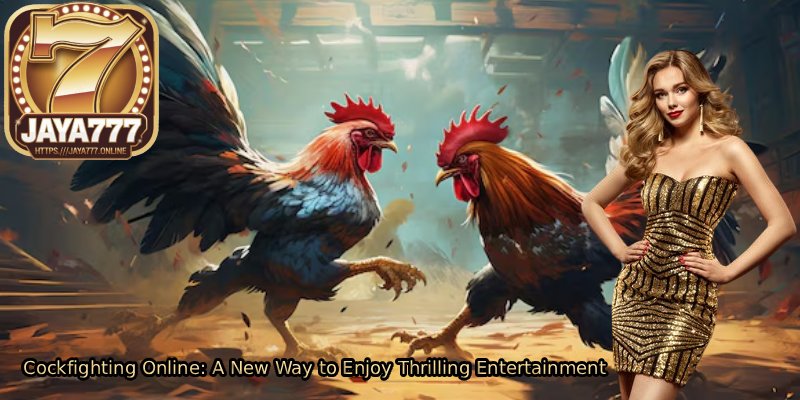 Cockfighting-Online_-A-New-Way-to-Enjoy-Thrilling-Entertainment.