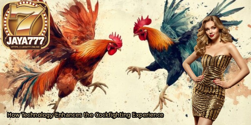 How-Technology-Enhances-the-Cockfighting-Experience