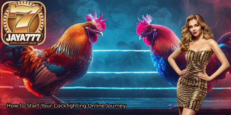 How-to-Start-Your-Cockfighting-Online-Journey
