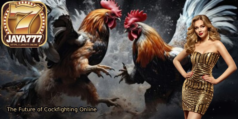 The-Future-of-Cockfighting-Online