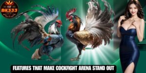 Features That Make Cockfight Arena Stand Out