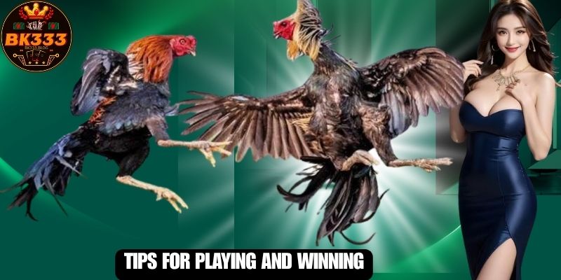 Tips for Playing and Winning