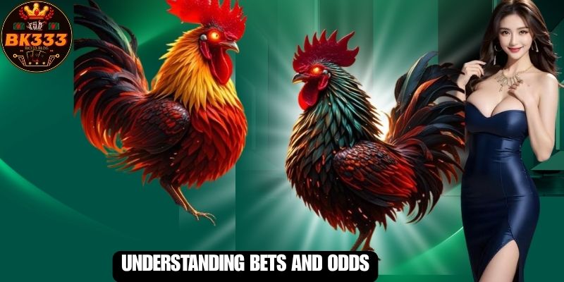 Understanding Bets and Odds