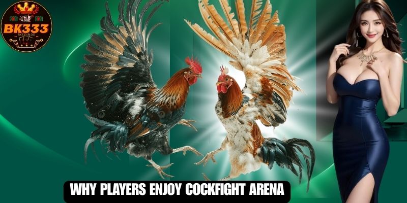 Why Players Enjoy Cockfight Arena