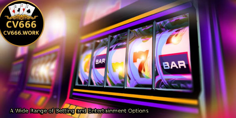 A-Wide-Range-of-Betting-and-Entertainment-Options 